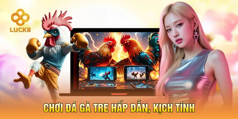 Chơi đá gà tre hấp dẫn, kịch tính