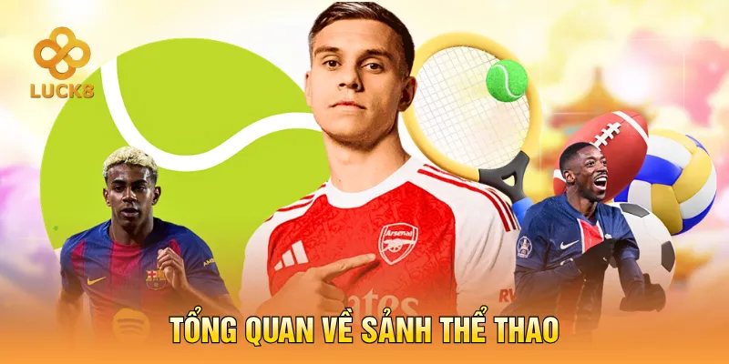 Tổng quan về sảnh thể thao