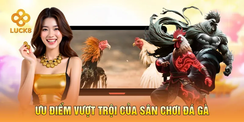 Ưu điểm vượt trội của sân chơi đá gà